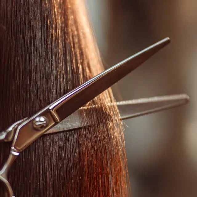 Cut Split Ends with Home Hair Scissors - Home Use Hair Scissors | Laravel